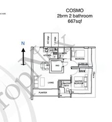 cosmo photo thumbnail #5